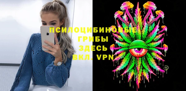 молекула духа Железногорск-Илимский