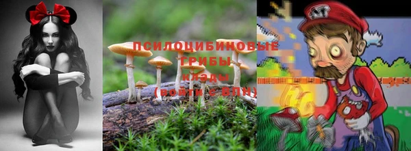 мет Россошь