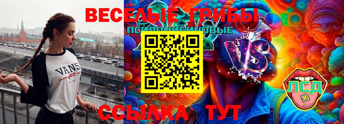 Псилоцибиновые грибы Psilocybe Бузулук