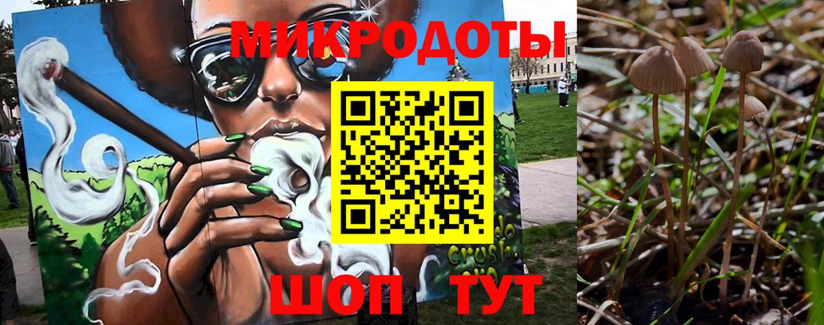 Псилоцибиновые грибы Magic Shrooms  Вход с VPN  Бузулук 